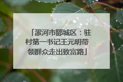 漯河市郾城区：驻村第一书记王元明带领群众走出致富路